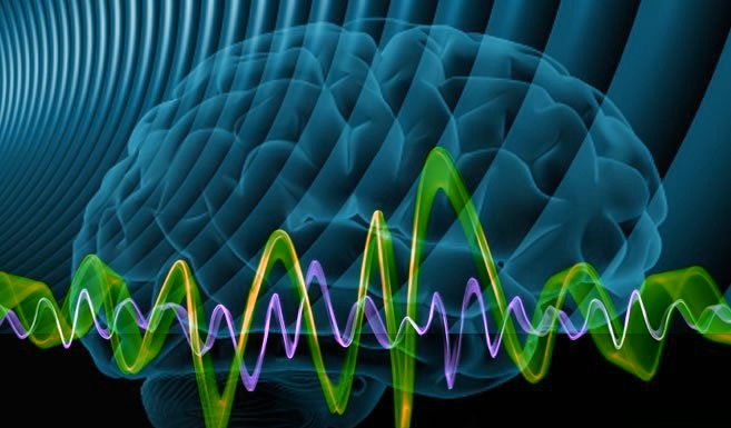 brain waves