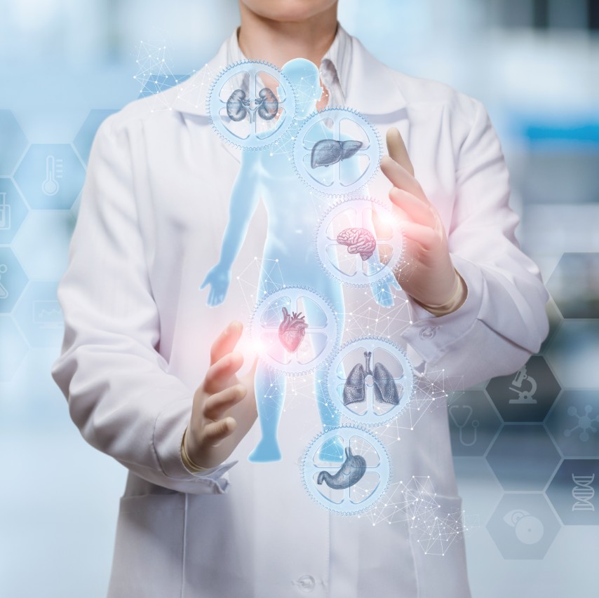 image showing how functional medicine works in the body